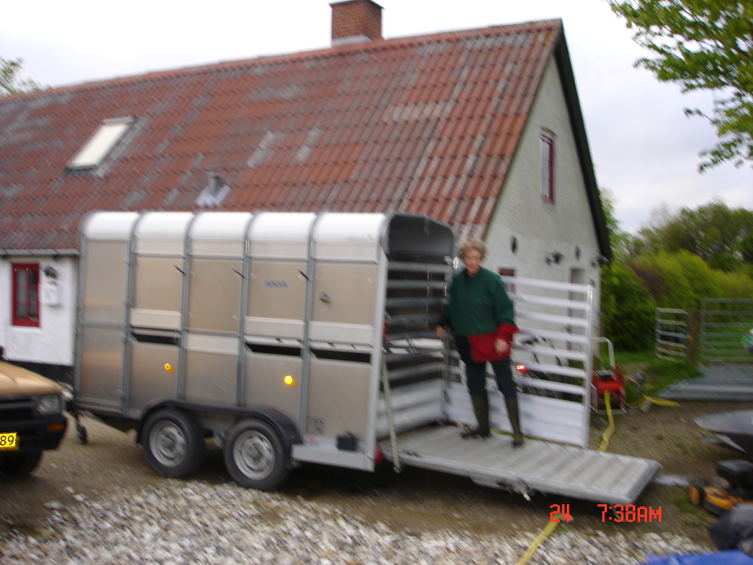 Thy Lam`s fåretrailer og Gitte